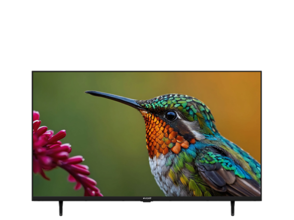 43" FHD Google TV - A43 D 697 B Smart TV